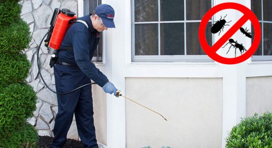 Karpuzlu Kemirgen İlaçlama böcek ilaçlama ve haşere kontrolü — ilaclama-tr.com